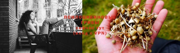 стафф Алзамай